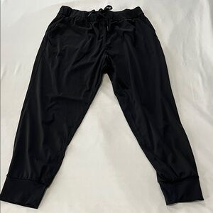 Sage Collective Joggers